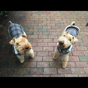 Meet your Posher, Chloe